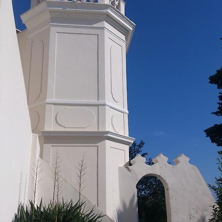 Villa-Chateau Les Terrasses - Tamaris, Plage Des Sablettes, Mer Au Bas De La Propriete La Seyne-sur-Mer Εξωτερικό φωτογραφία