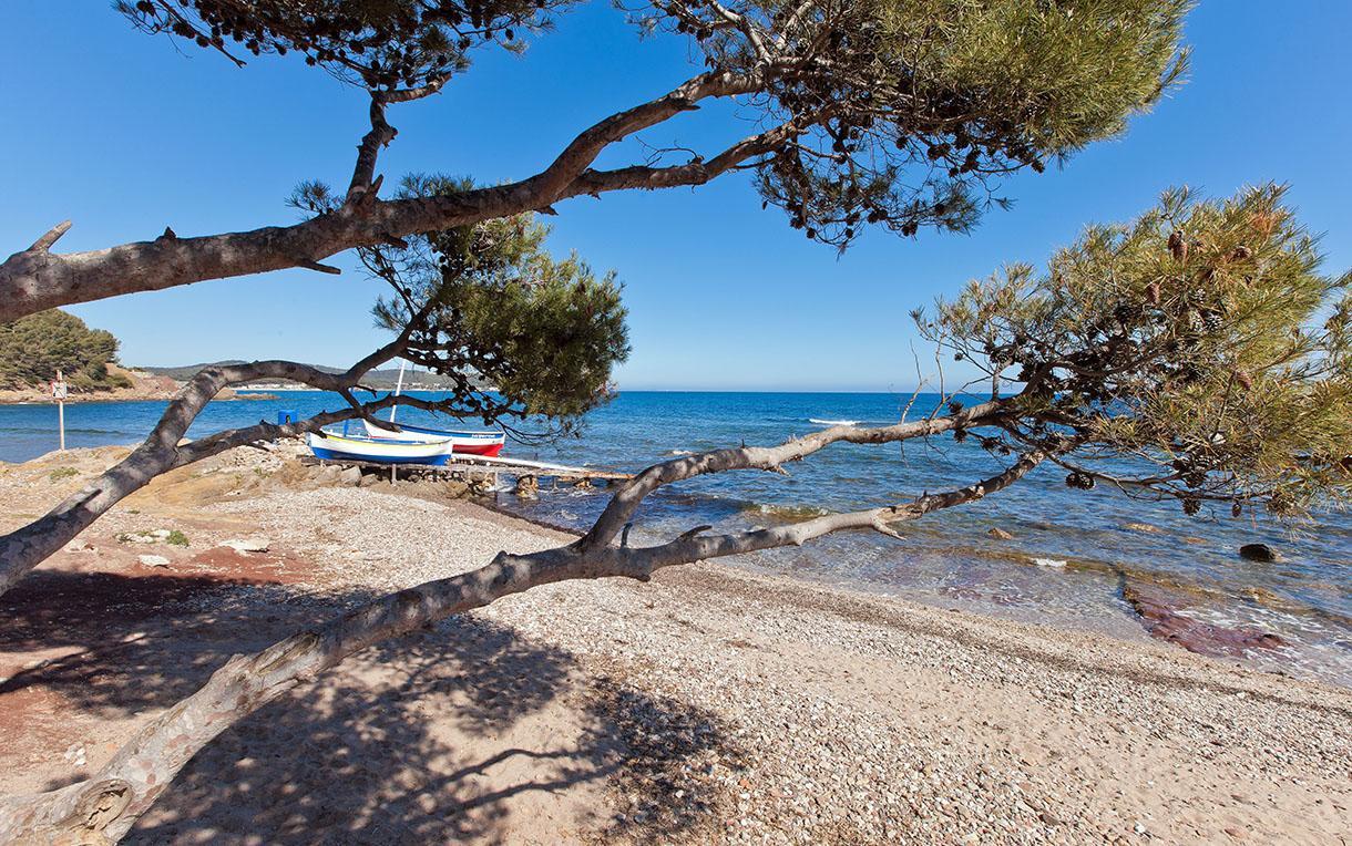 Villa-Chateau Les Terrasses - Tamaris, Plage Des Sablettes, Mer Au Bas De La Propriete La Seyne-sur-Mer Εξωτερικό φωτογραφία